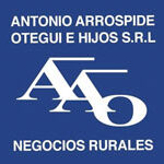 logo escritorio arrospide